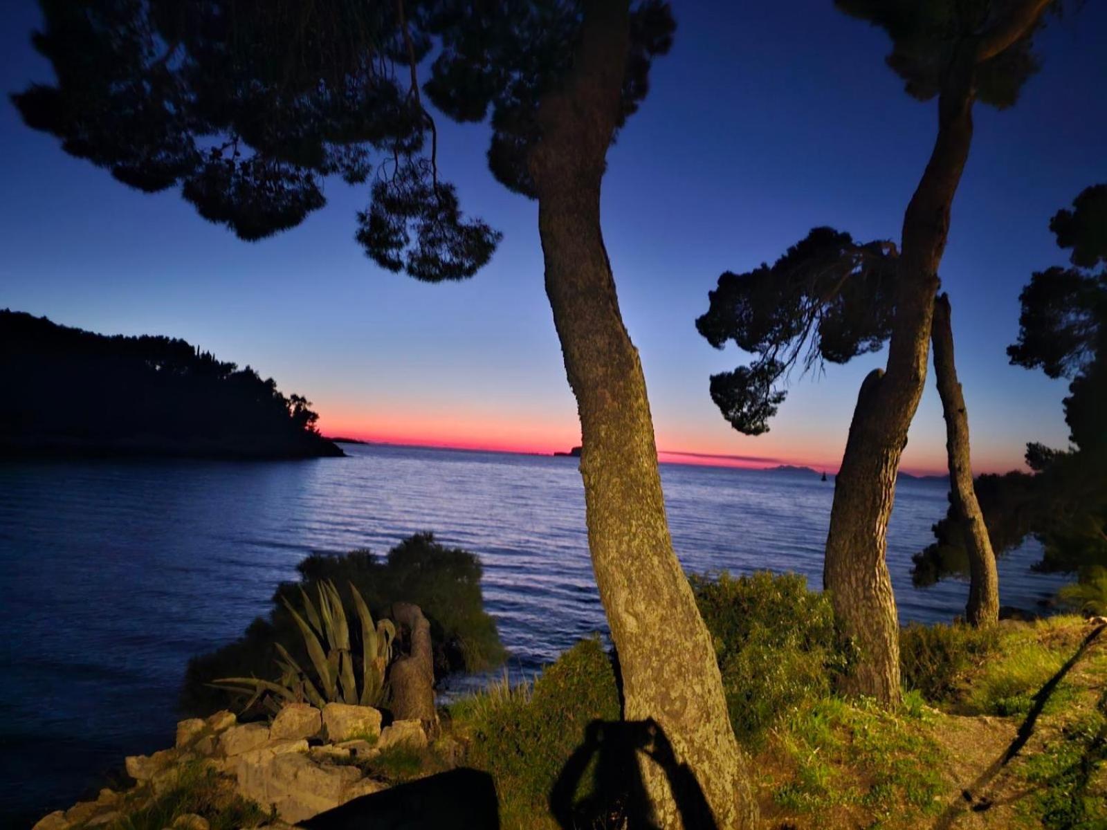 Villa Anica Dubrovnik - Luxurious With A Sea View Екстериор снимка